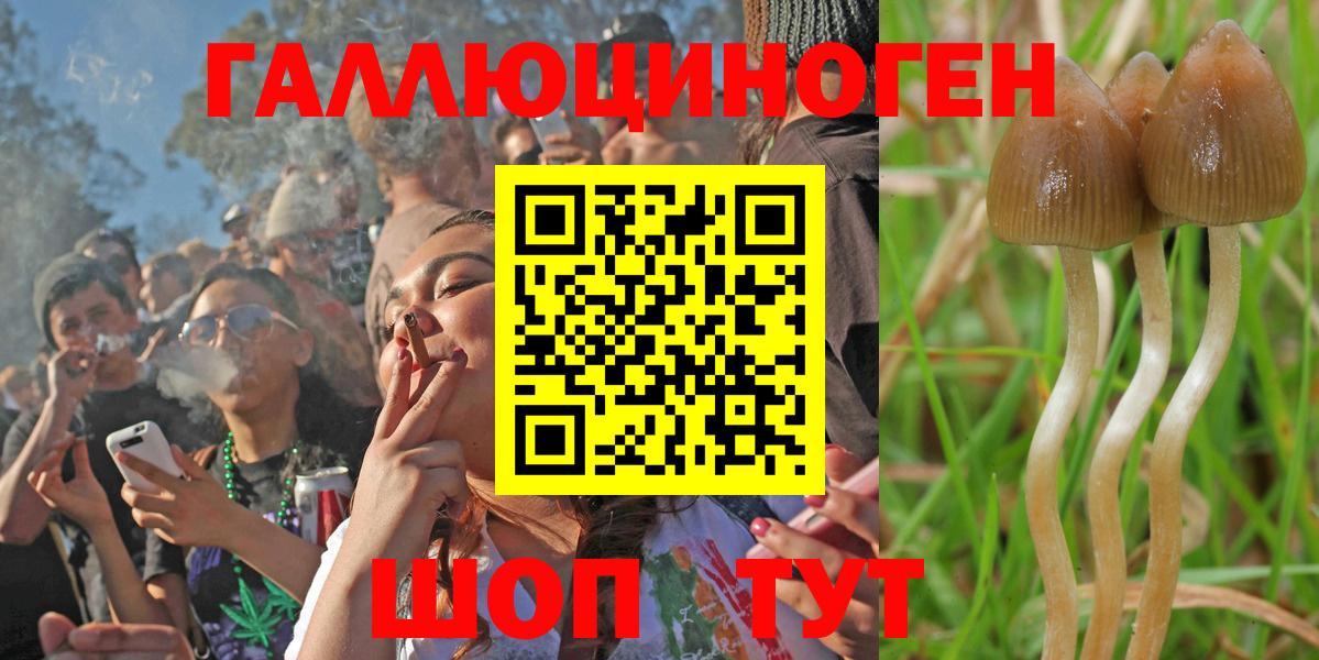 Галлюциногенные грибы Cubensis  Вход с VPN  Галлюциногенные грибы ЛСД  Димитровград 
