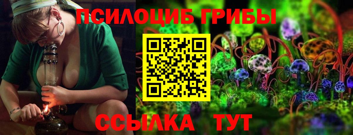 Псилоцибиновые грибы Cubensis Димитровград